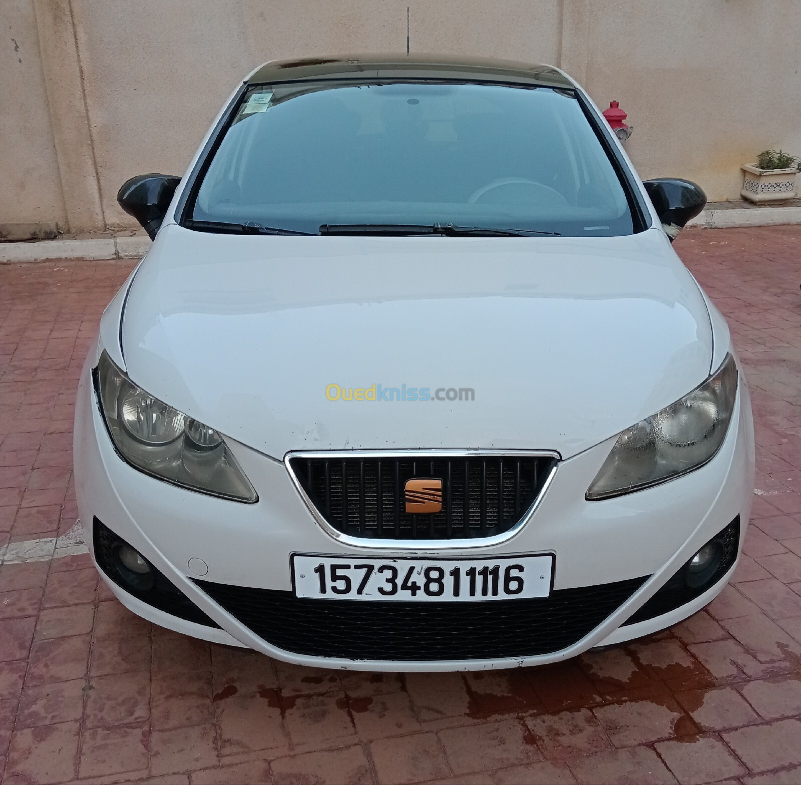 Seat Ibiza 2011 Loca