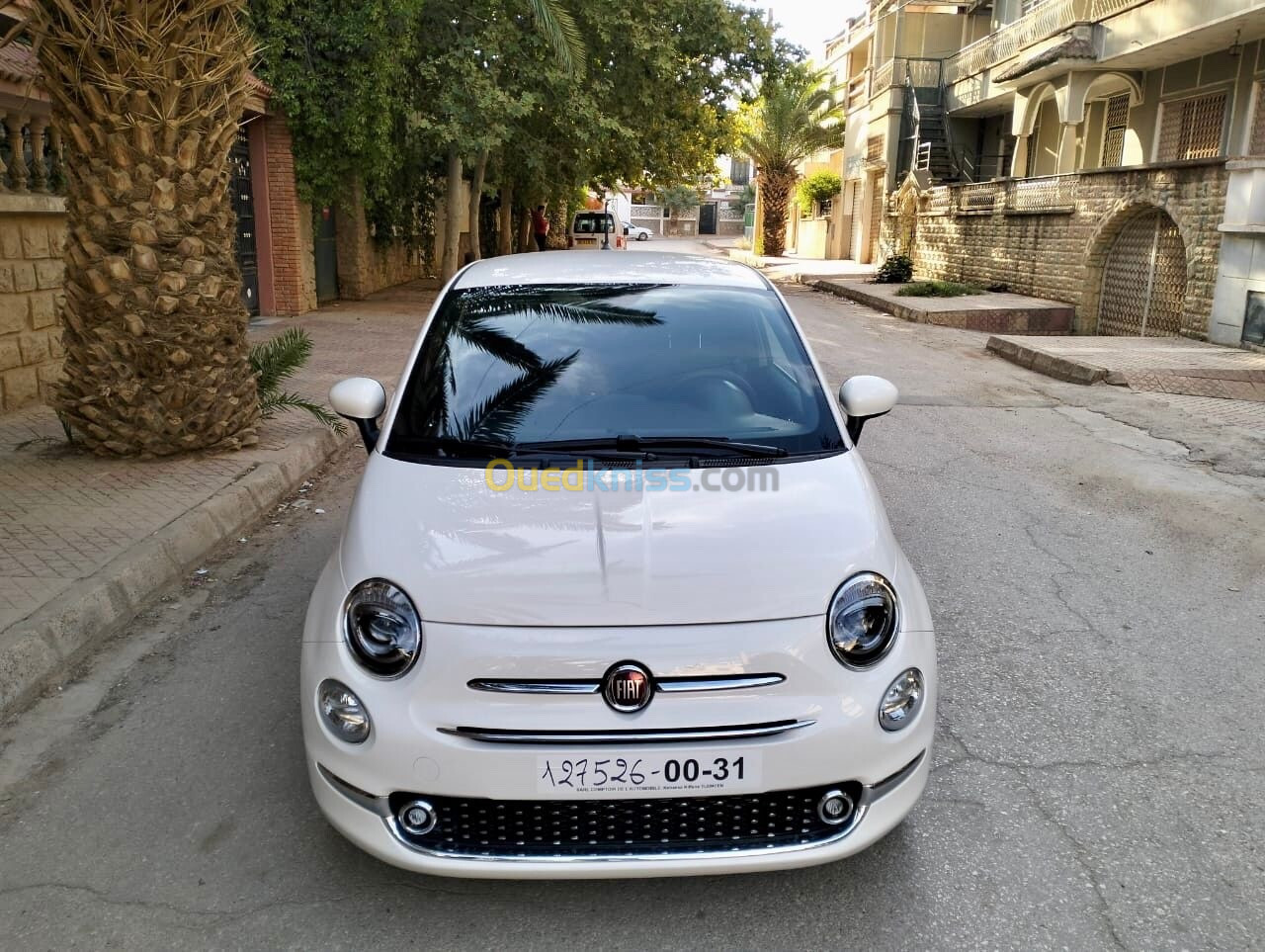 Fiat 500 2024 Club