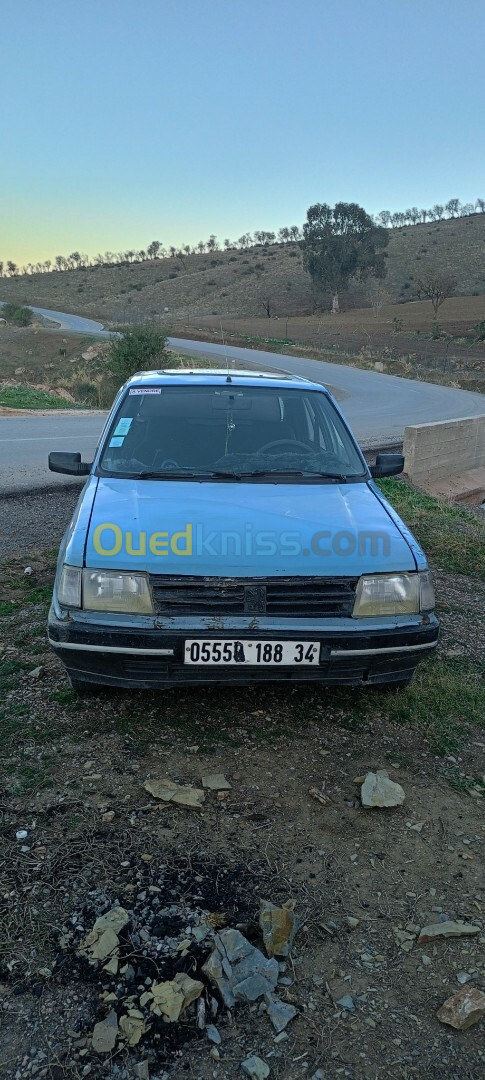 Peugeot 309 1988 309