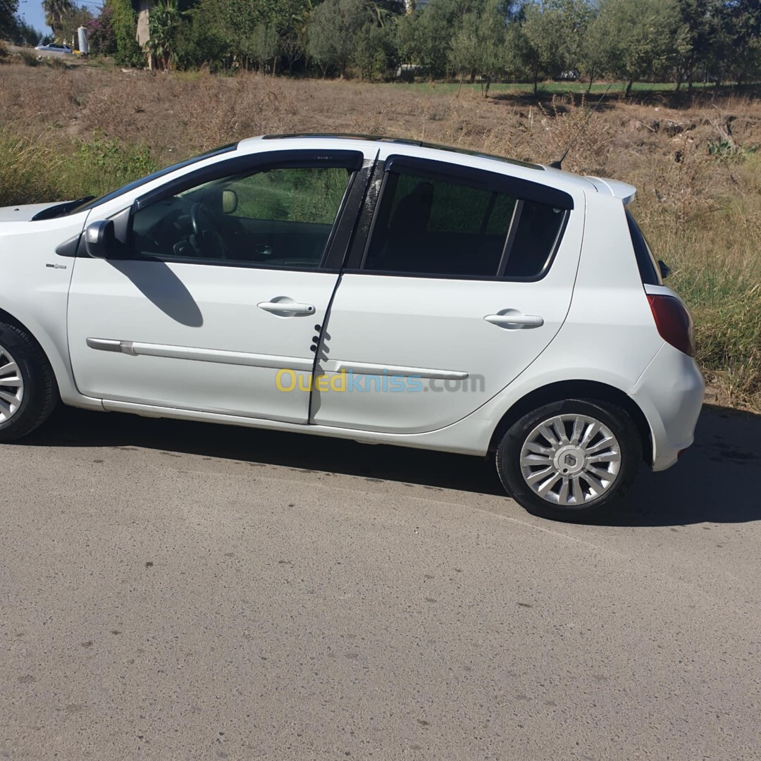 Renault Clio 3 2011 Night and Day