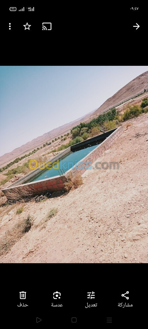 Vente Terrain Agricole Biskra Biskra