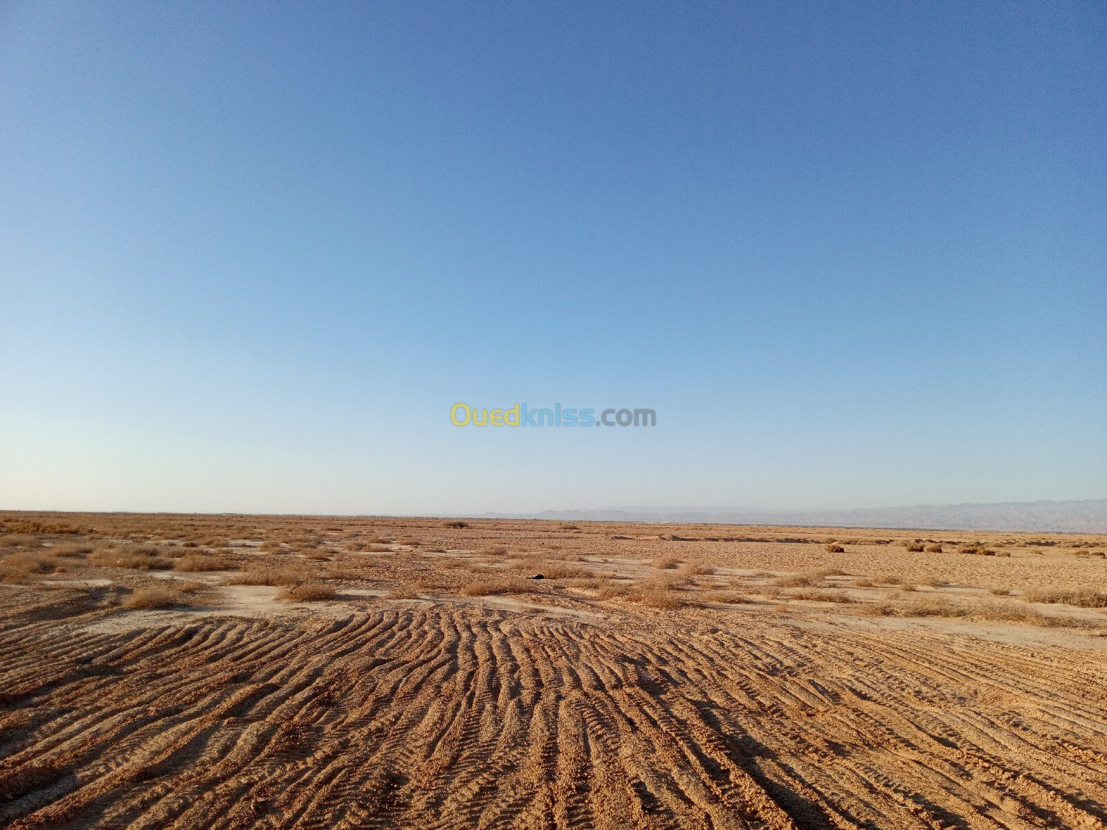 Vente Terrain Agricole Biskra Ain naga