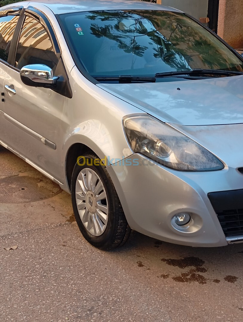 Renault Clio 3 2010 Clio 3