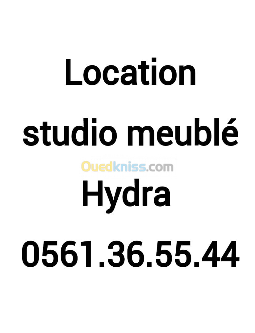 Location Studio Alger Hydra