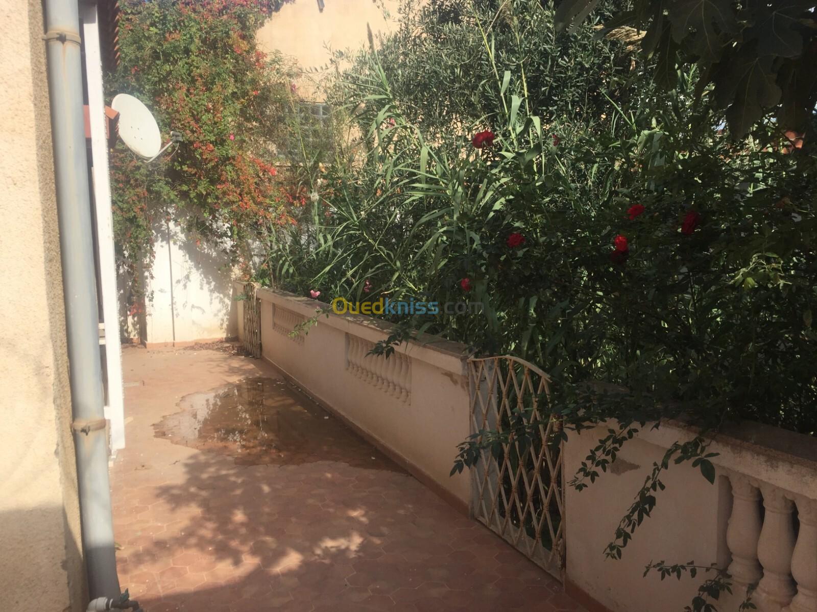 Location Villa Alger Draria