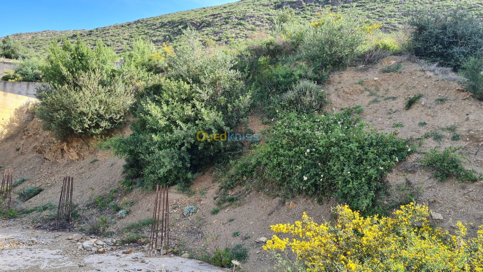 Vente Terrain Béjaïa Bejaia