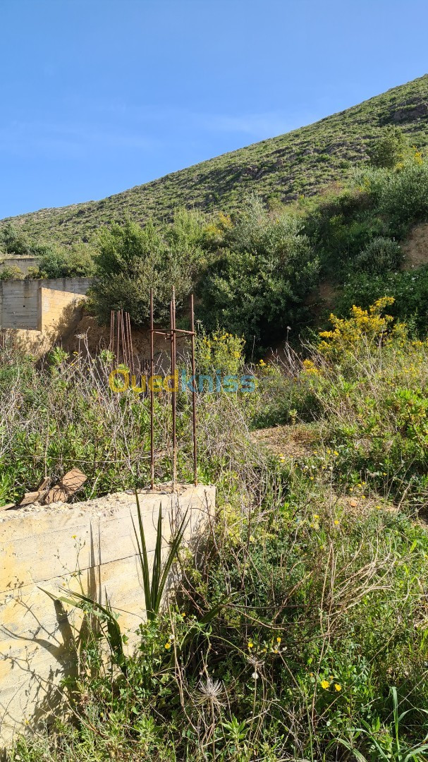 Vente Terrain Béjaïa Bejaia