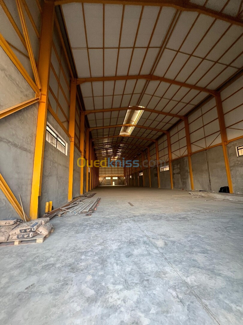 Location Hangar Blida Beni tamou