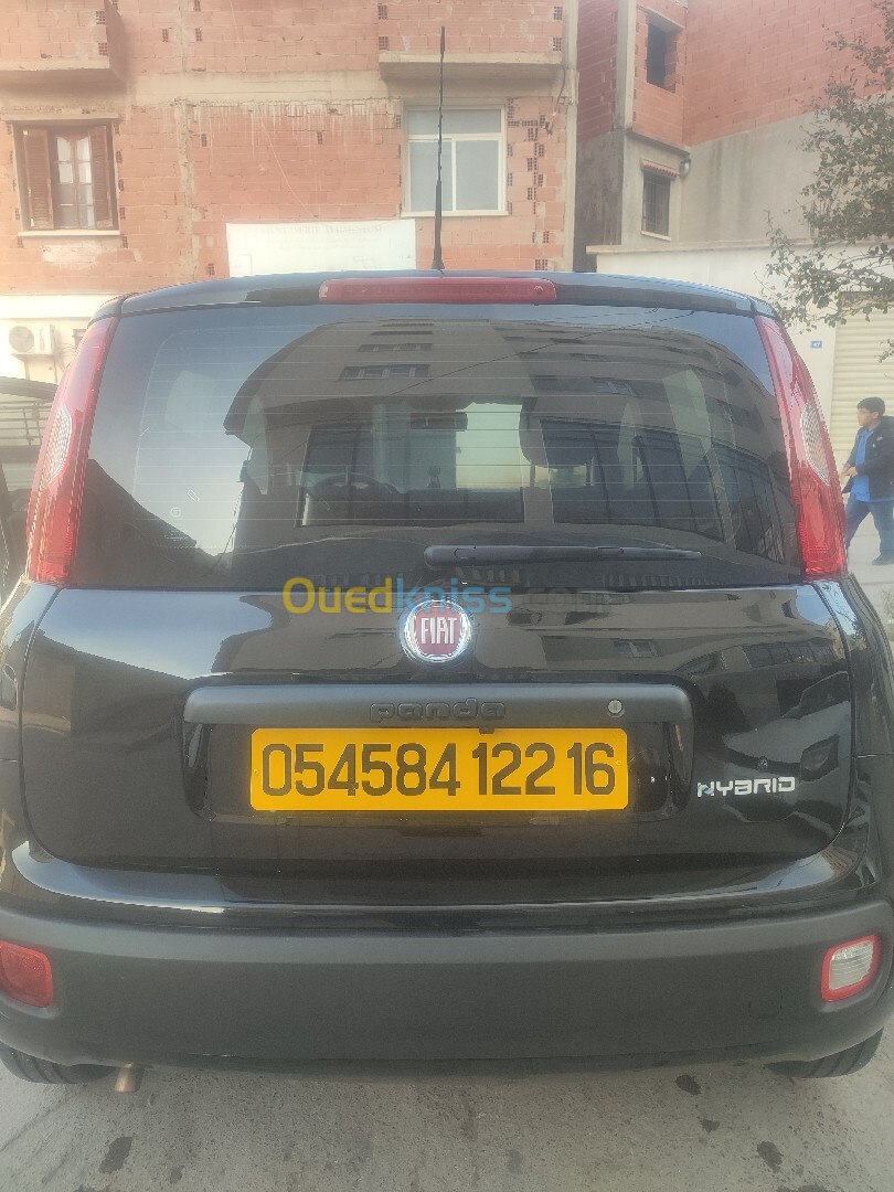 Fiat 500 panda 2022 