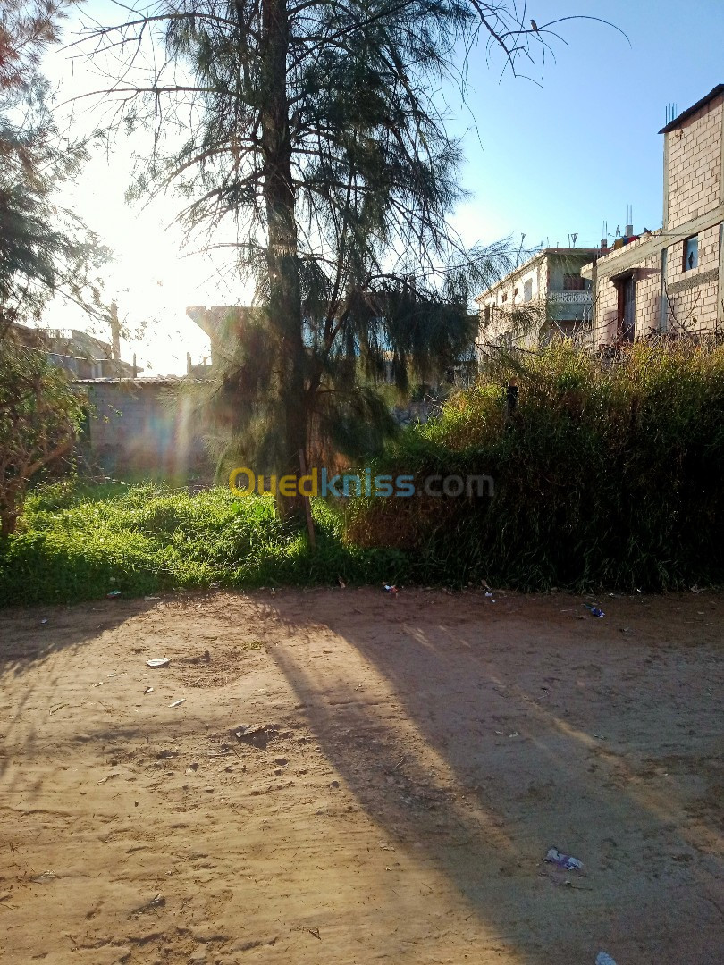 Vente Terrain Skikda Azzaba