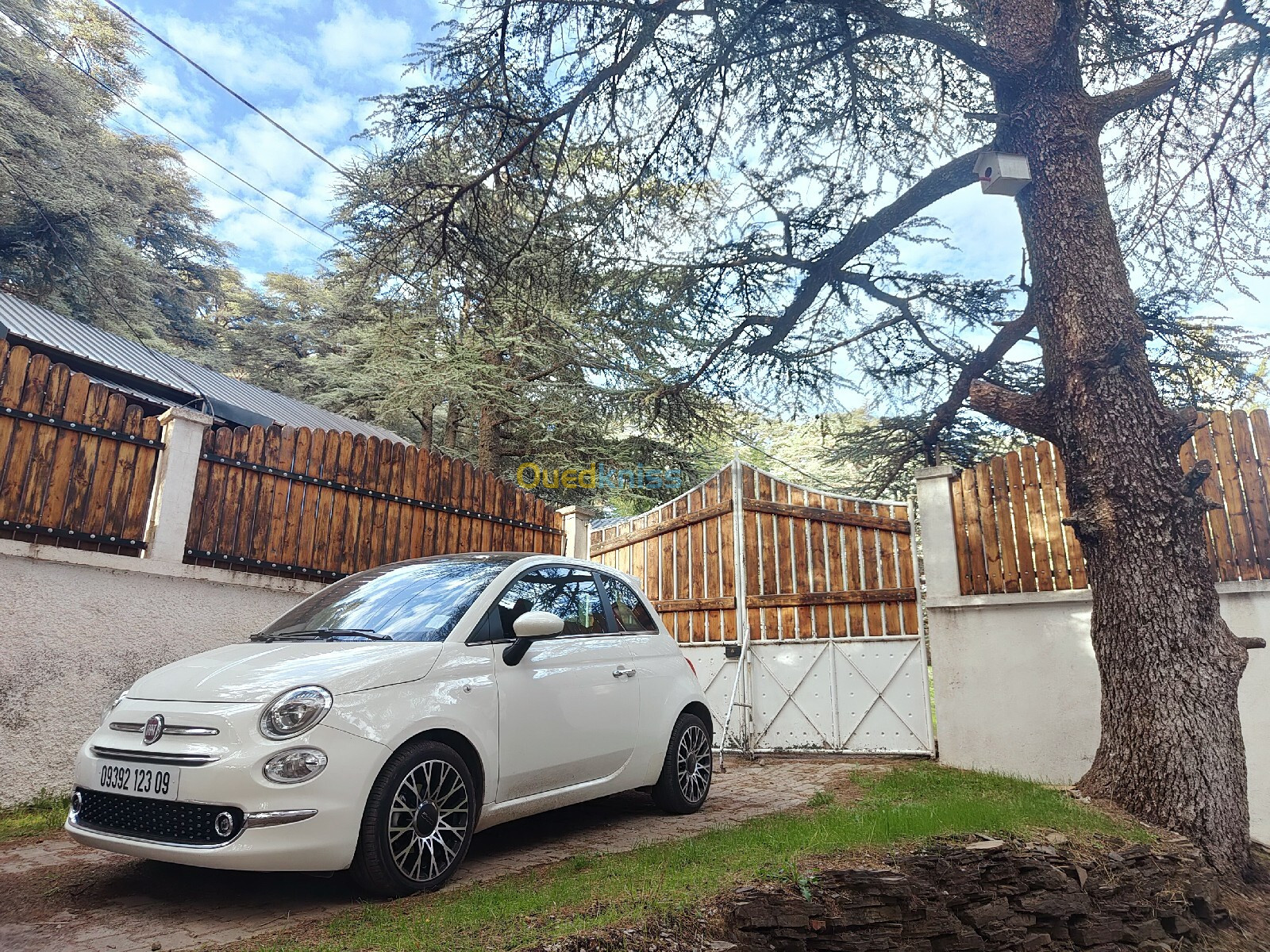 Fiat 500 2023 Dolce Vita