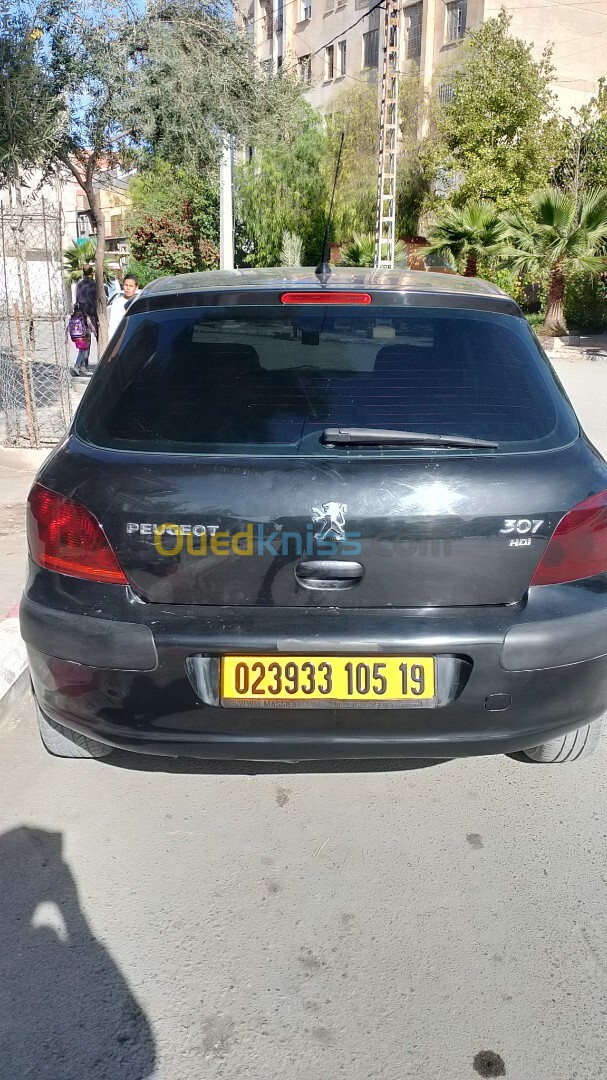 Peugeot 307 2005 XT