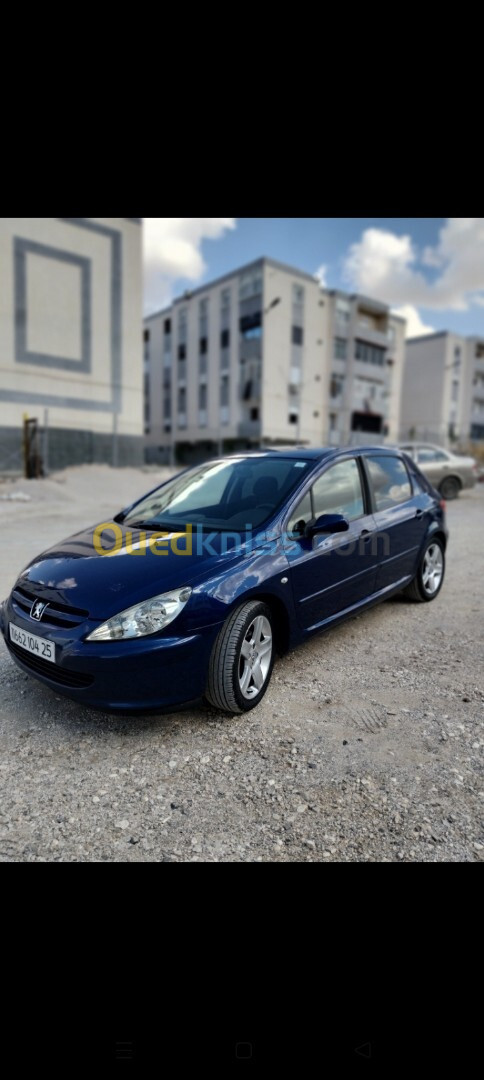 Peugeot 307 2004 