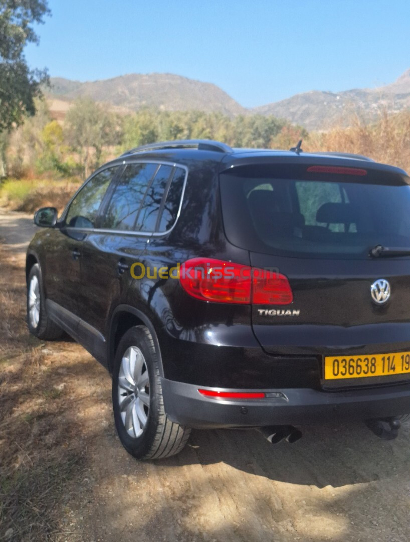 Volkswagen Tiguan 2014 Life