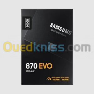 SATA 2,5" SSD 500GB ' EVO 870 '