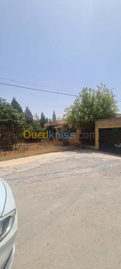 Vente Villa Sétif Setif