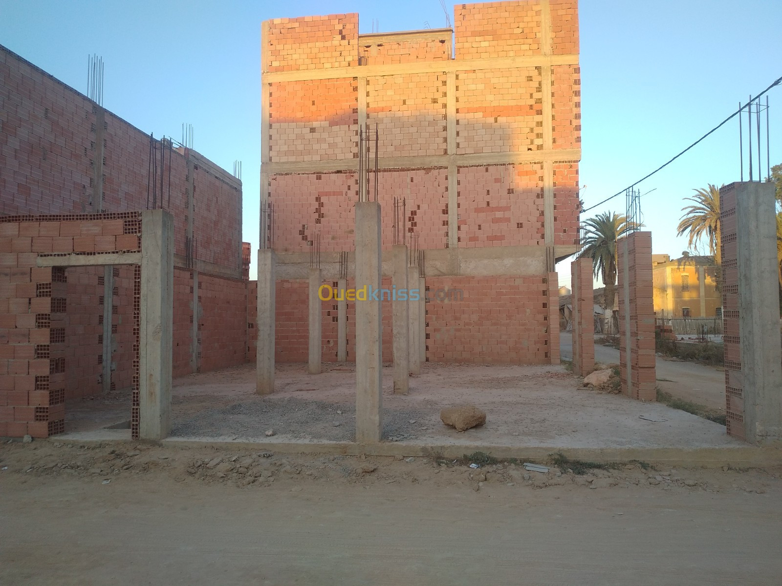 Vente Terrain Mostaganem Hassi maameche