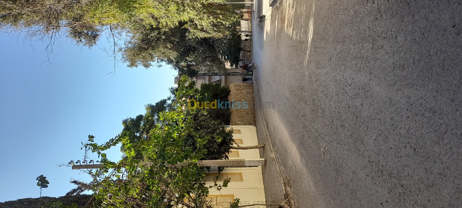 Vente Appartement F3 Alger El harrach