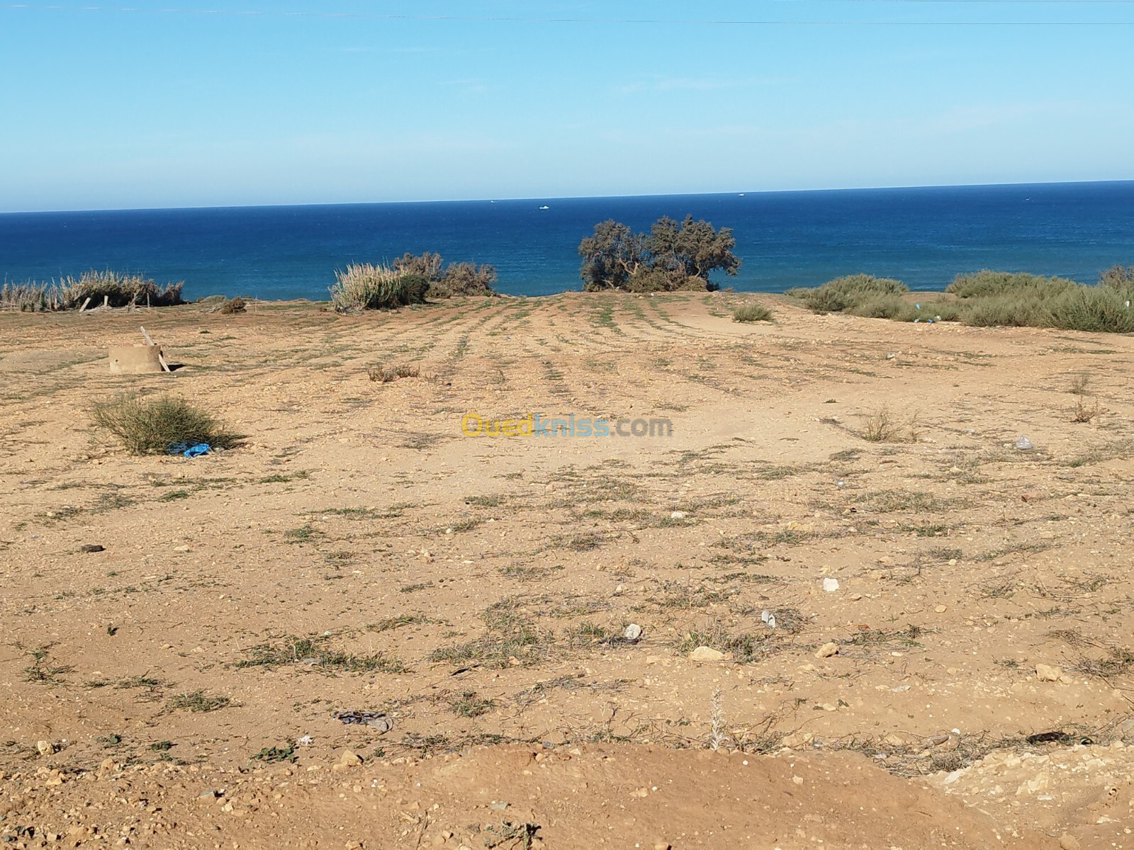 Vente Terrain Mostaganem Abdelmalek ramdane