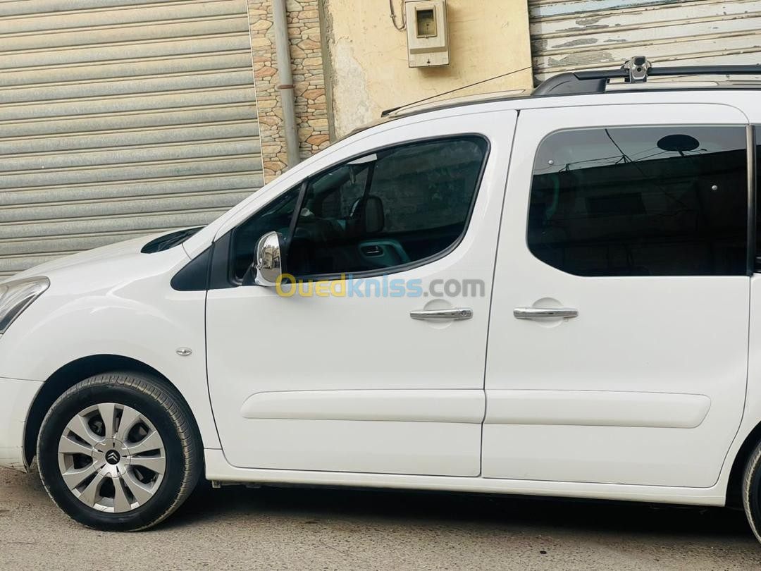 Citroen Berlingo 2013 Berlingo