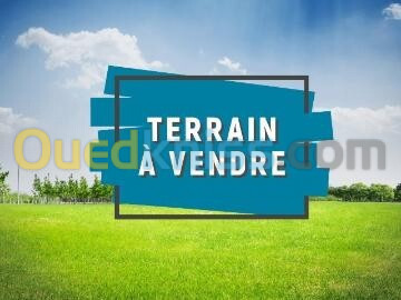 Vente Terrain Alger Dely brahim