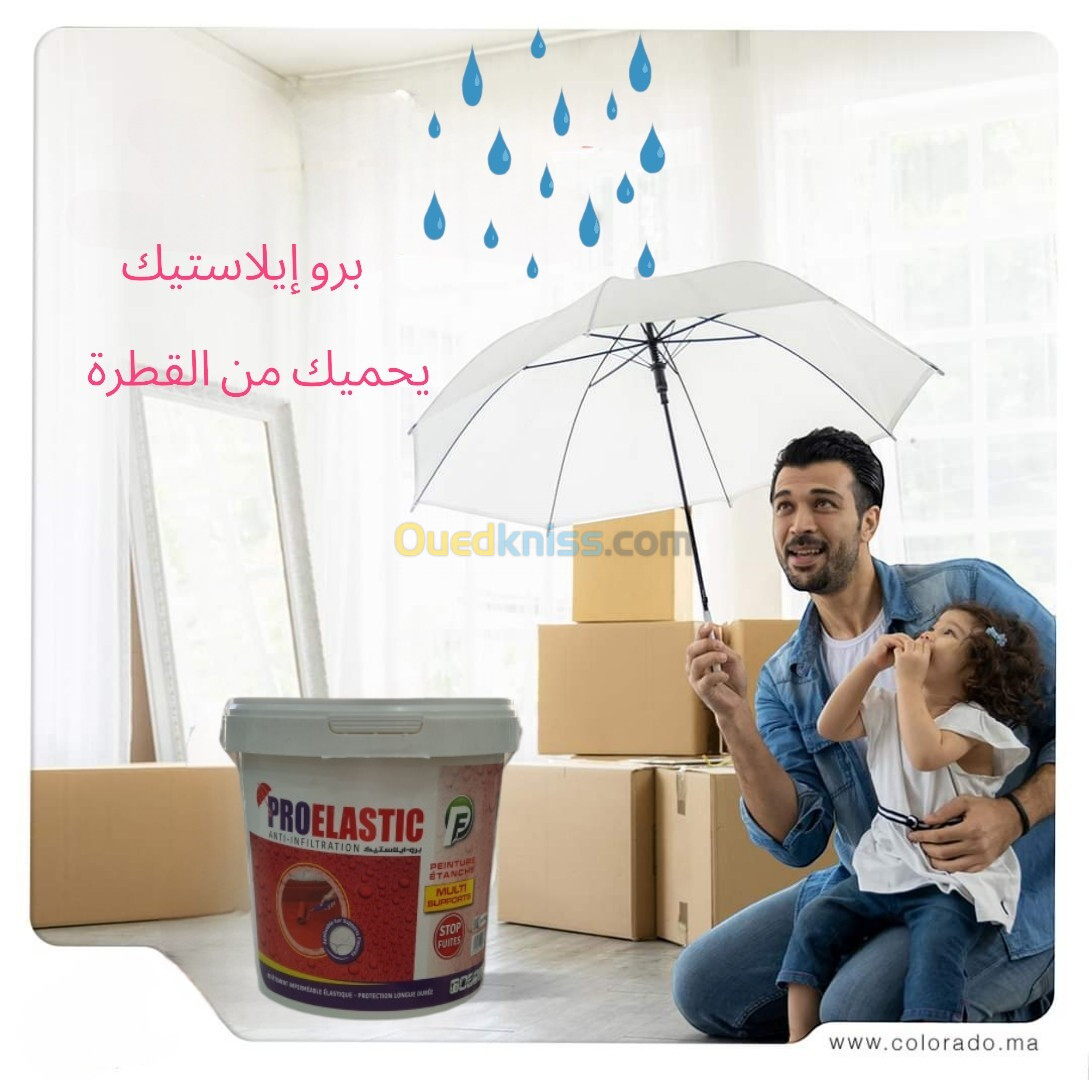 Proelastic transparent 5 kg 