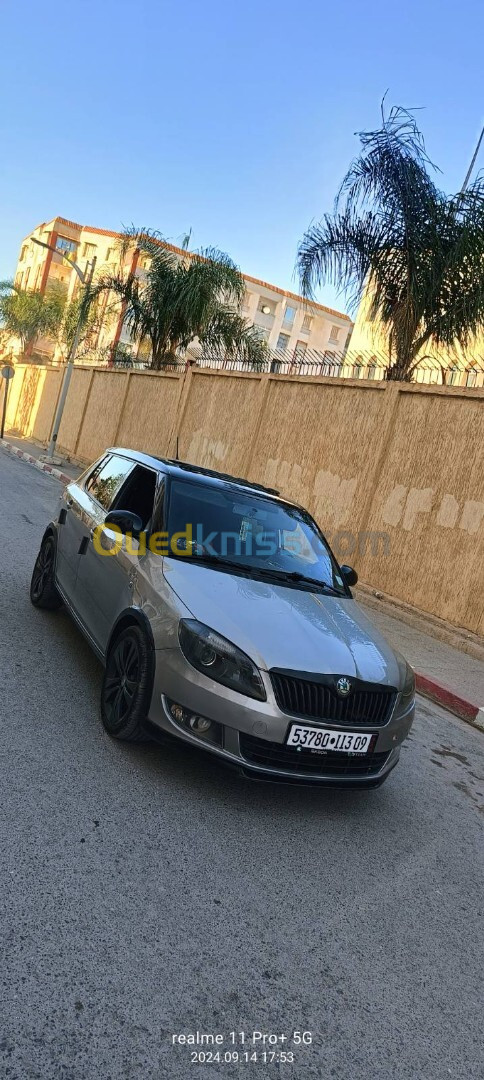 Skoda Fabia 2013 Monte Carlo