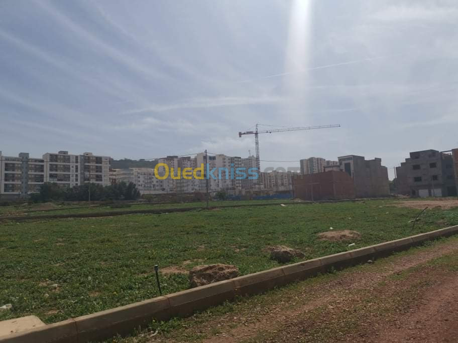 Vente Terrain Mostaganem Mostaganem