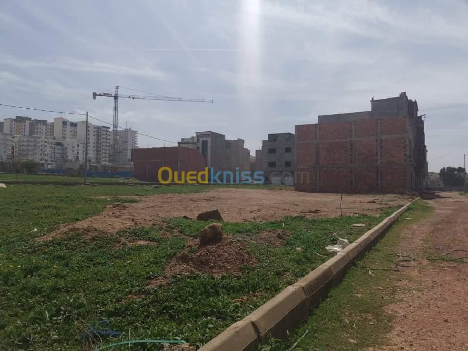 Vente Terrain Mostaganem Mostaganem