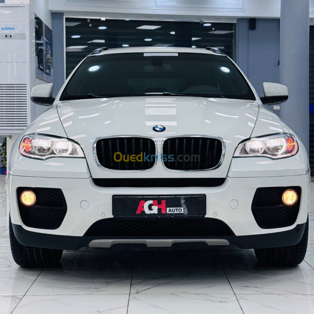 BMW X6 2013 XDive