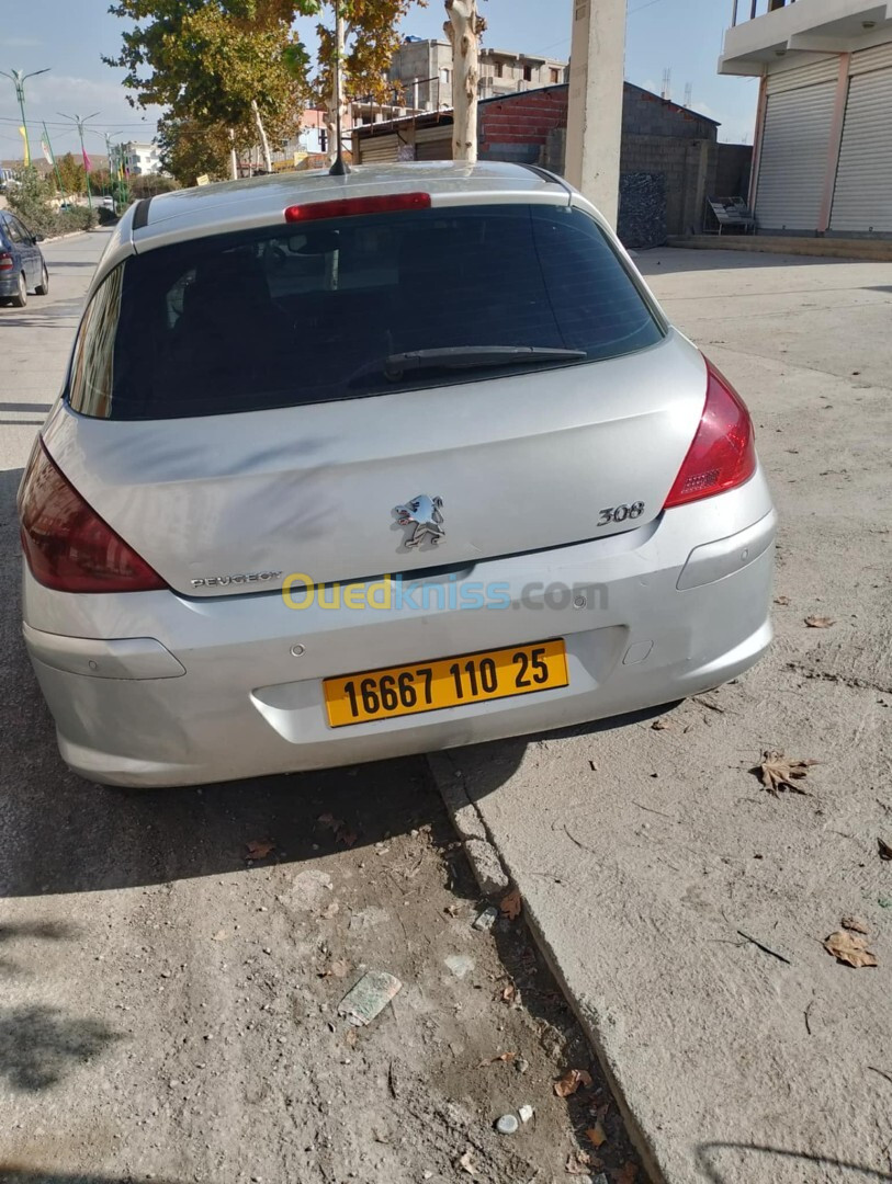 Peugeot 308 2010 308