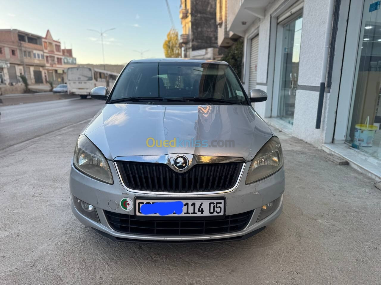 Skoda Fabia 2014 Fresh