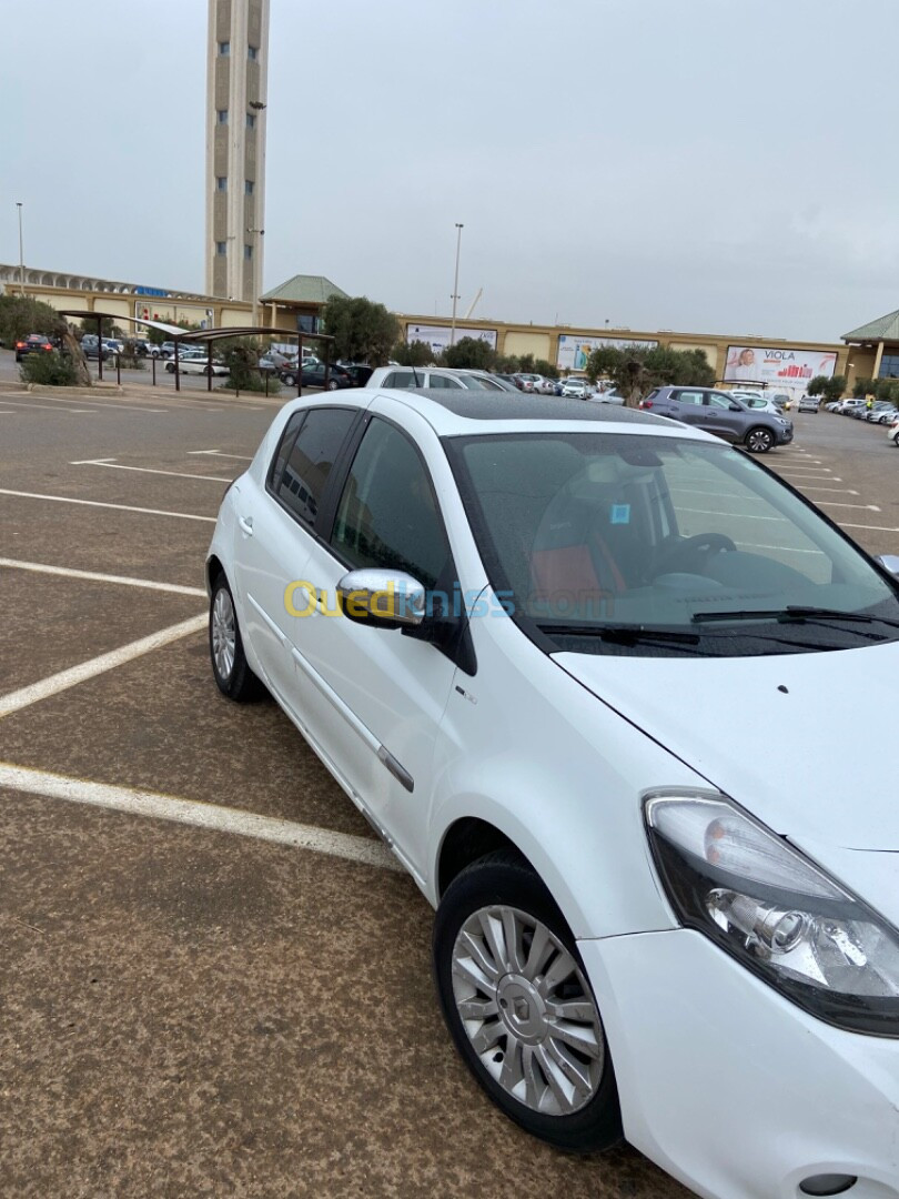 Renault Clio 3 2012 Night and Day