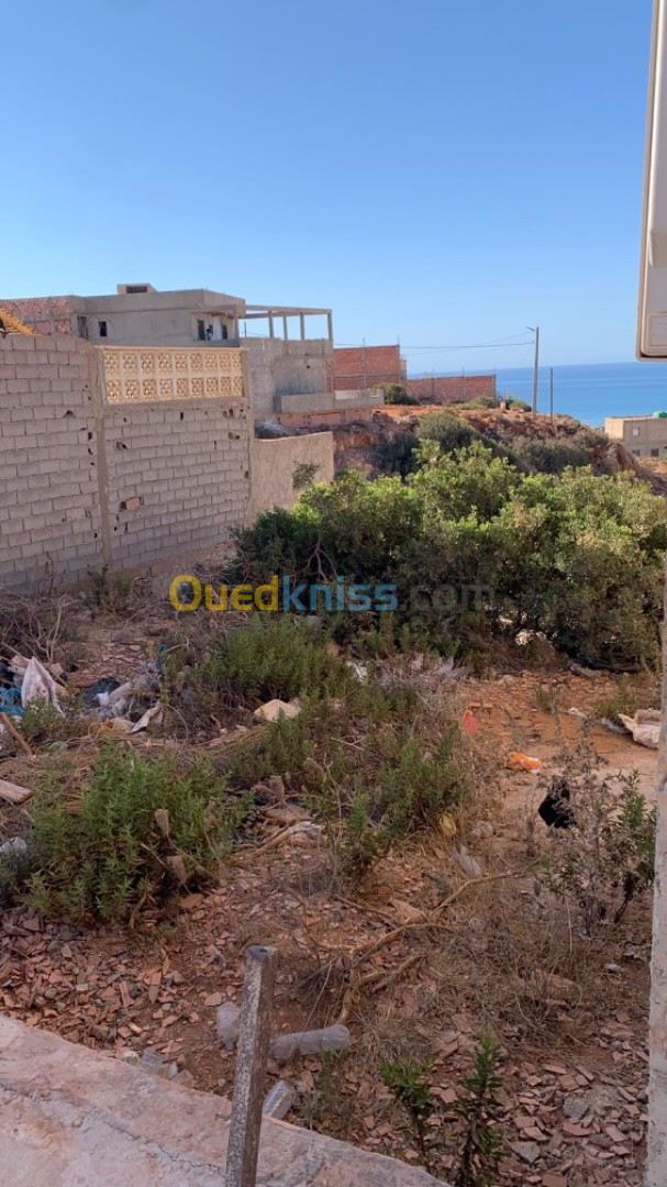 Vente Terrain Mostaganem Achaacha