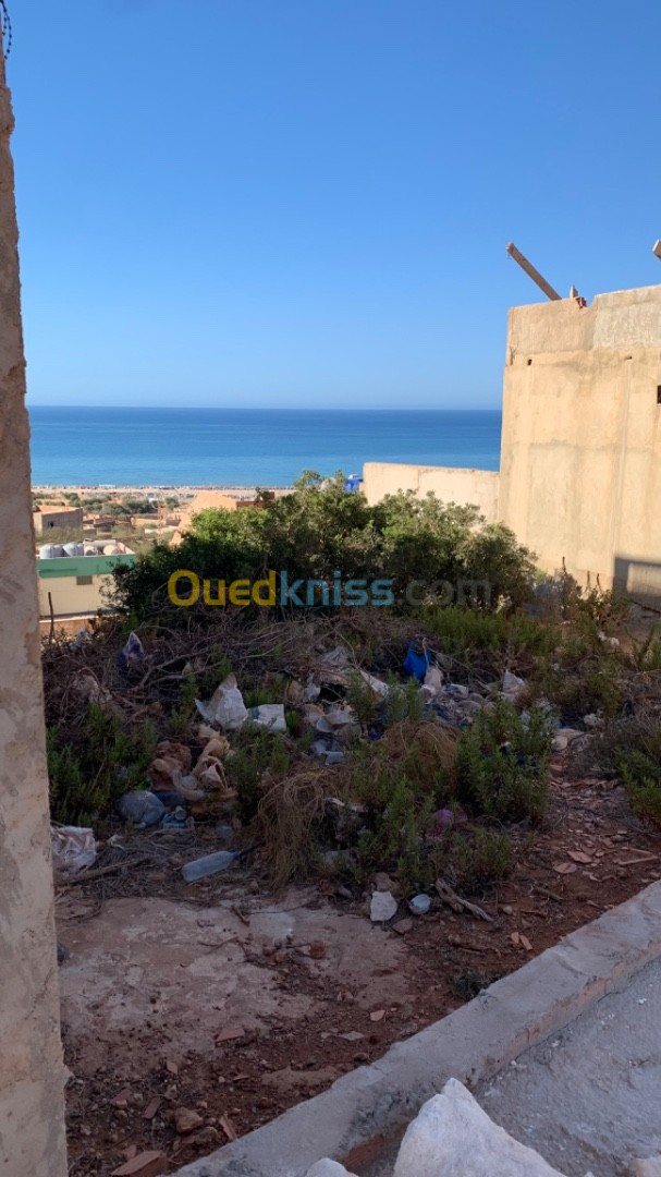 Vente Terrain Mostaganem Achaacha