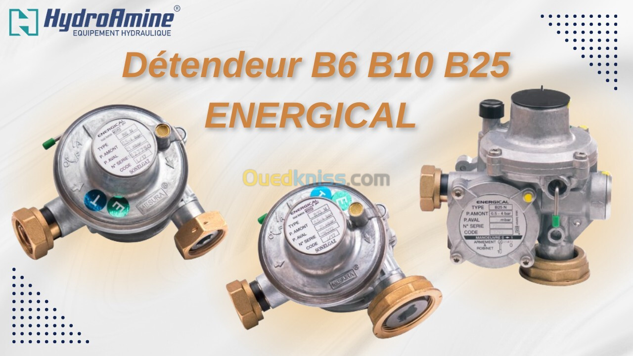 DETENDEUR A GAZ B06 B10 B25