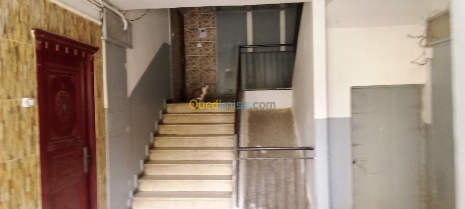 Location Appartement F3 Blida Boufarik