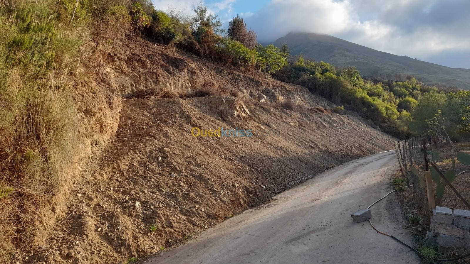 Vente Terrain Bejaia Aokas