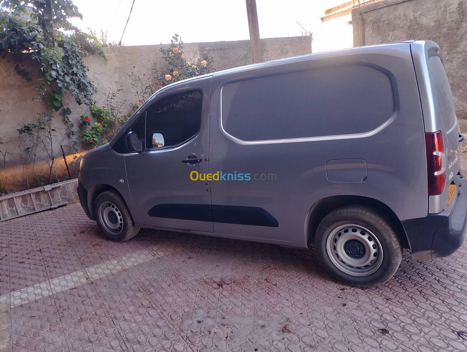 Fiat Professional Doblo 2023 Professionnel