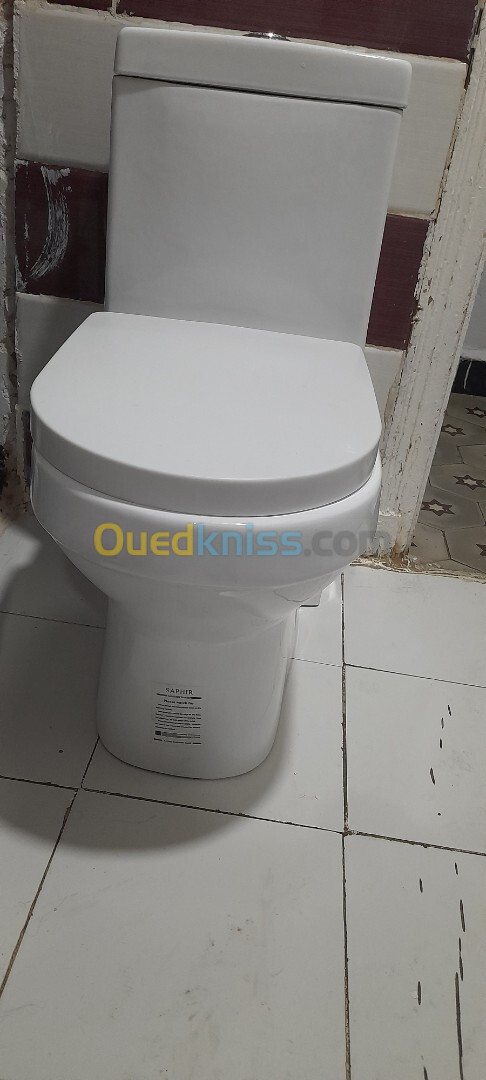 Cuvette toilette importation