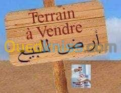 Vente Terrain Oran Oran