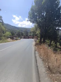 Vente Terrain Tizi Ouzou Azazga