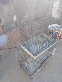 Cage 