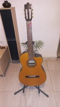 guitar Ibanez