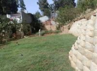 terrain-vente-alger-bouzareah-algerie
