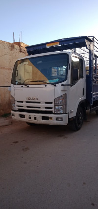 camion-isuzu-npr-2013-ain-kermes-tiaret-algerie