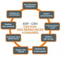 إدارة-و-تسيير-gestionnaire-des-ressources-humaines-حسين-داي-الجزائر