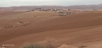 terrain-vente-relizane-ammi-moussa-algerie