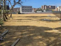 Vente Terrain Tipaza Kolea