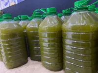 زيت زيتون بكر أخضر معصور على البارد 